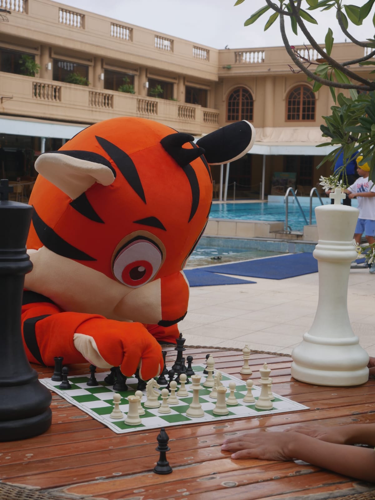 FUN Chess Classes - Mascot - Classes are FUN